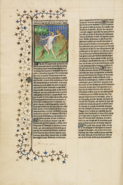 Hercules Poisoned by the Shirt of Nessus
