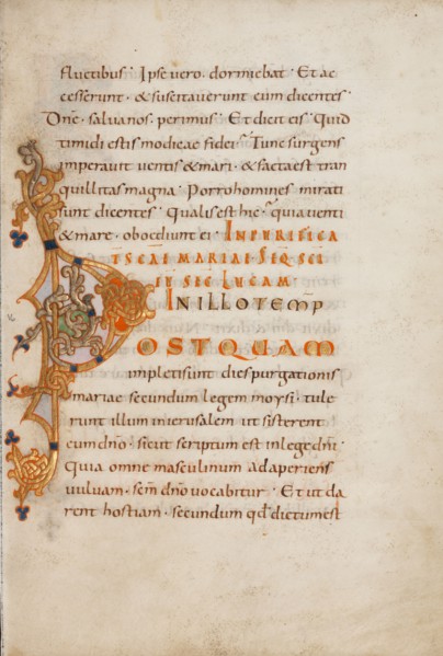 Decorated Initial P