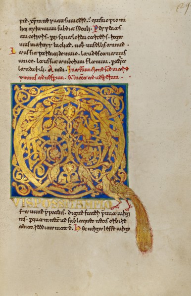 Inhabited Initial Q