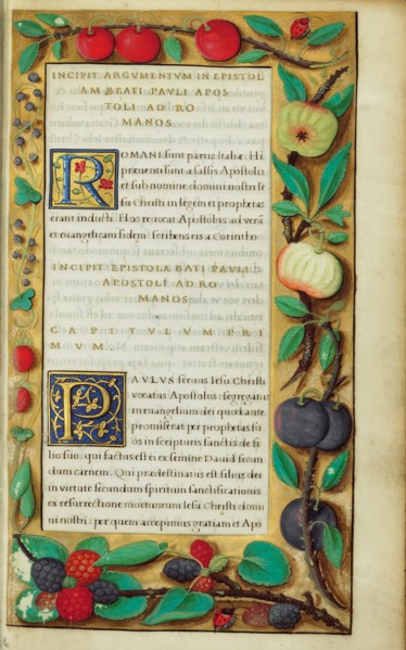 Decorated Text Page