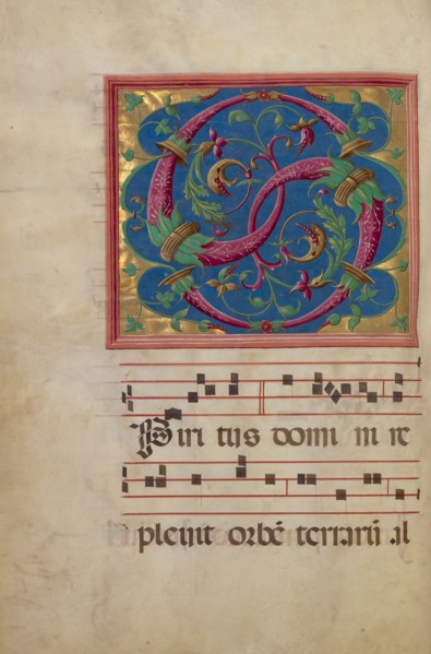 Decorated Initial S