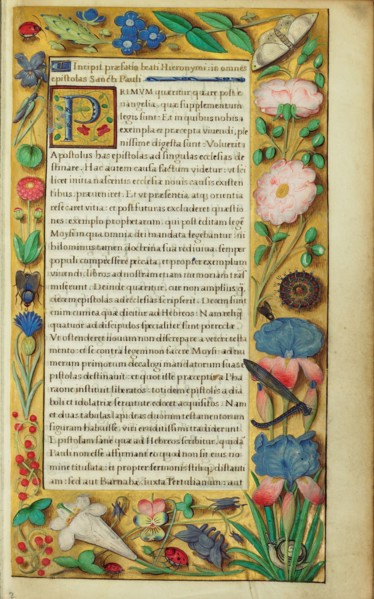 Decorated Text Page