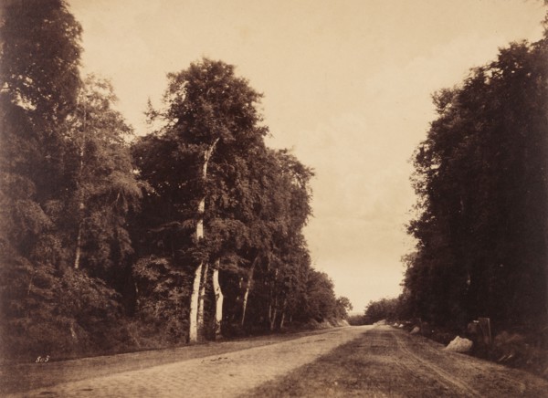 Route de Chailly, Fontainebleau