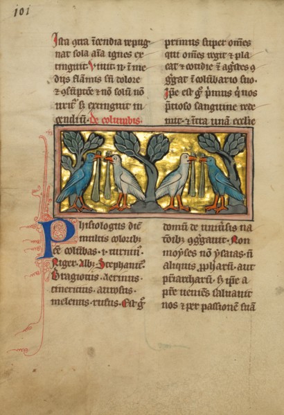 Two Pairs of Doves