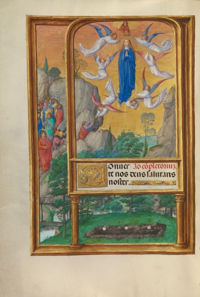 The Assumption of the Virgin