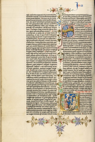 Initial V: Job Derided by His Wife