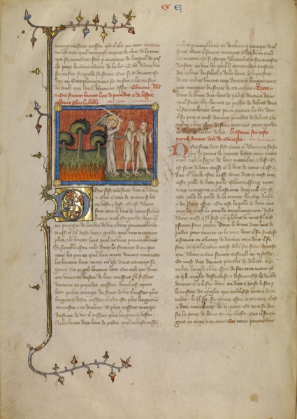 The Expulsion from Paradise