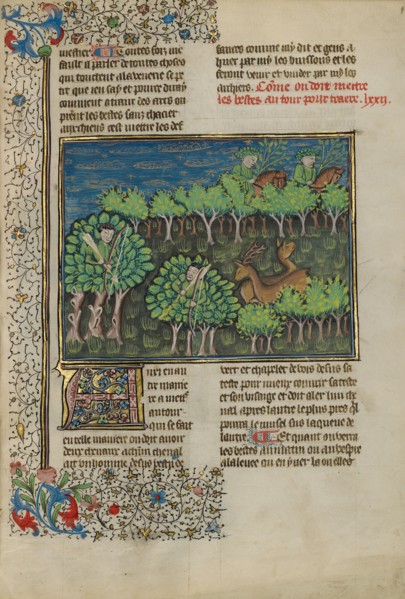 Camouflaged Hunters Preparing to Attack a Deer