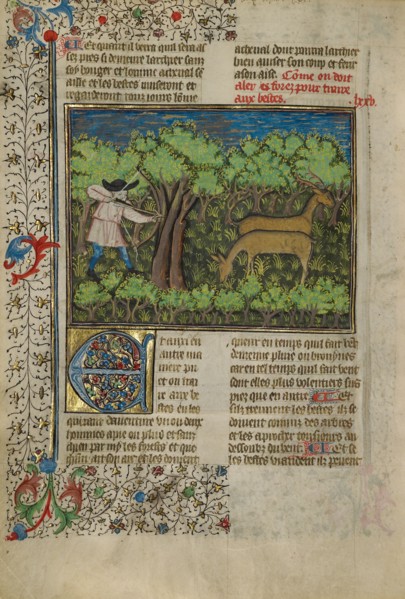 An Archer Shooting at Deer