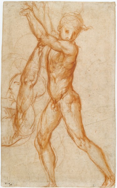 Study of a Nude Boy, Partial Figure Study (recto),  Study of a S