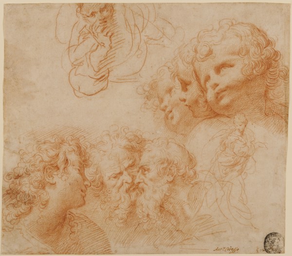 Head and Figure Studies