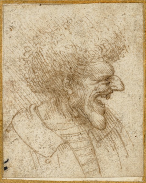 Caricature of a Man with Bushy Hair