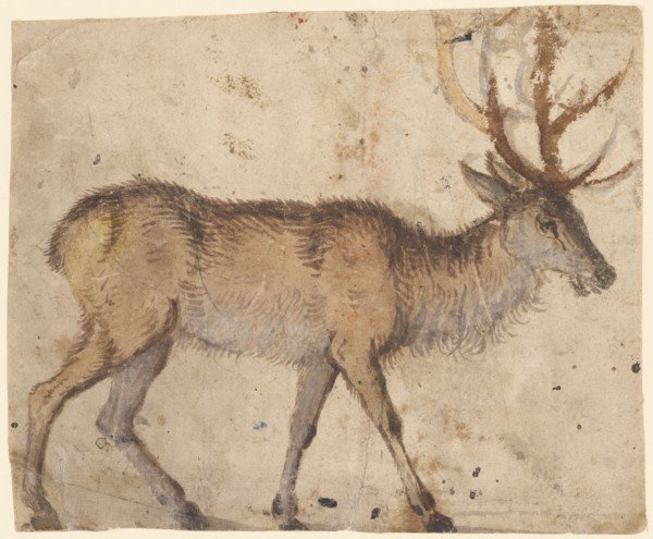 Study of a Stag (recto),  Study of Goats (verso)