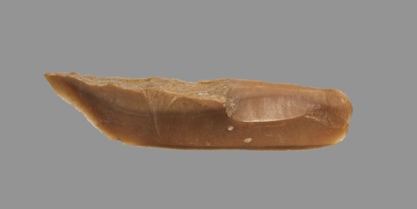 Sickle Blade, 1980-1801 BC. Egypt, Middle Kingdom, Dynasty 12. Flint; overall: 5 cm (1 15/16 in.).
