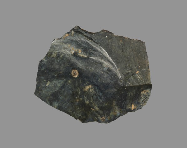 Sickle Blade, 1980-1801 BC. Egypt, Middle Kingdom, Dynasty 12. Flint; overall: 5 cm (1 15/16 in.).
