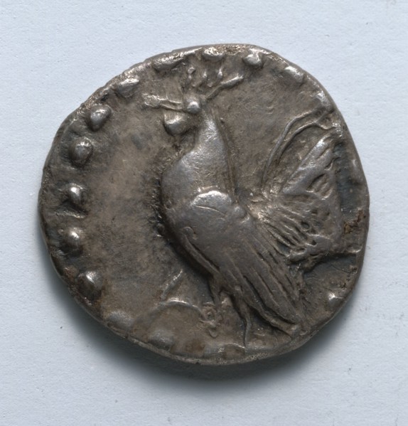 Aegineatan Drachm: Rooster (obverse), c. 482 BC. Greece, 5th century BC. Silver; diameter: 2 cm