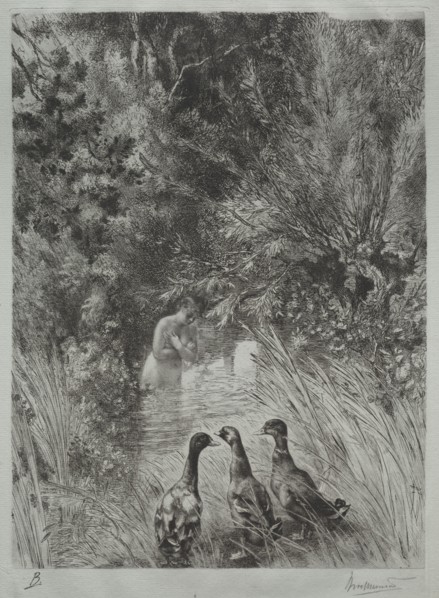 The Surprised Ducks. Félix Bracquemond (French, 1833-1914). Etching; sheet: 44.4 x 29 cm (17 1/2 x