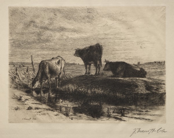 11: The Three Cows. Joseph Foxcroft Cole (American, 1837-1892). Etching