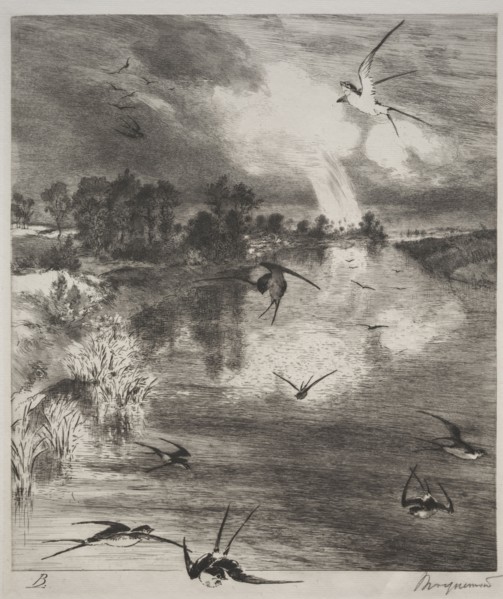 Swallows, 1882. Félix Bracquemond (French, 1833-1914). Etching; sheet: 42 x 33.1 cm (16 9/16 x 13