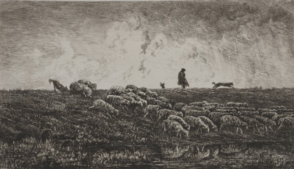 The Shower, c. 1851. Charles François Daubigny (French, 1817-1878). Etching; sheet: 27.5 x 38.3 cm