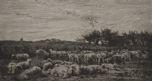 Published in l'Album de la Société des Aquafortistes, September 1862.: The Large Sheep-Fold, 1860.