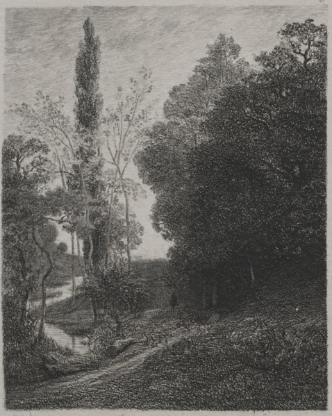Banks of the River Cousin, 1850. Charles François Daubigny (French, 1817-1878), Auguste Delâtre.