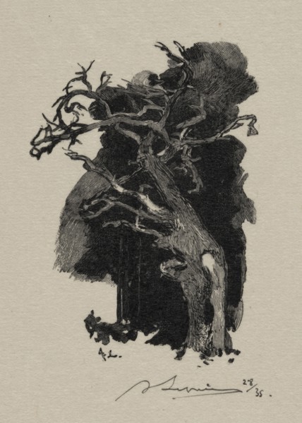 Le Rageur. Auguste Louis Lepère (French, 1849-1918). Wood engraving