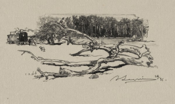 Carrefour de l'Epine, 1887. Auguste Louis Lepère (French, 1849-1918). Wood engraving