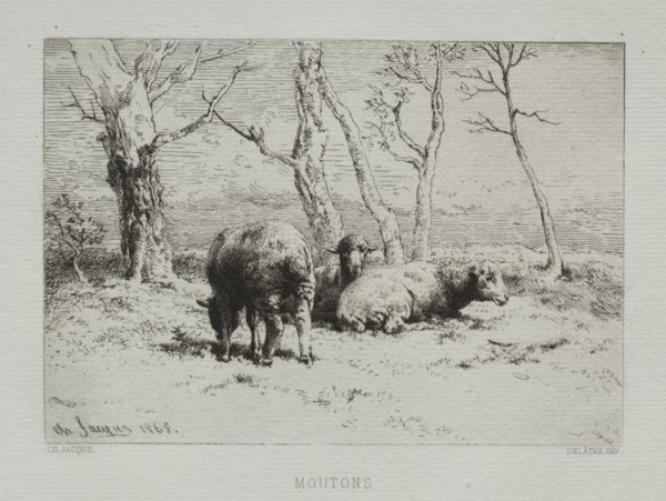 Sheep, 1868. Charles-Émile Jacque (French, 1813-1894). Etching