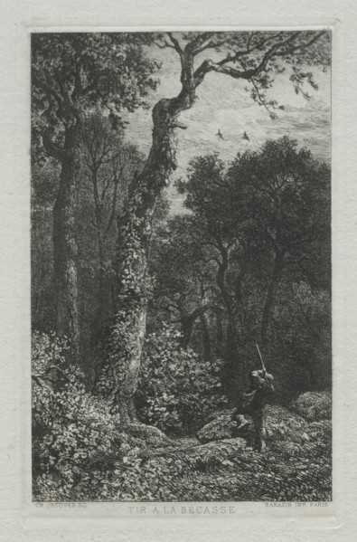 Shooting the Woodcock. Charles-Émile Jacque (French, 1813-1894). Etching