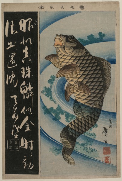 Carp and Waterweeds, c. early 1830s. Katsushika Taito II (Japanese, active c. 1810-50s). Color