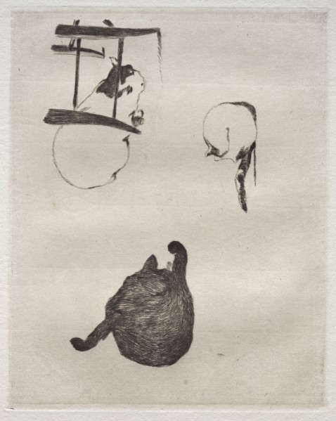 The Cats, 1868-1869. Edouard Manet (French, 1832-1883). Etching; sheet: 32.4 x 45.4 cm (12 3/4 x 17