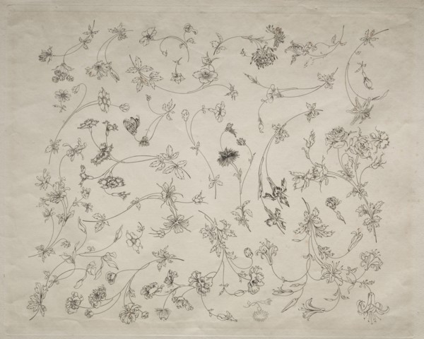Flower designs for plates and borders (no. 14), 1872. Félix Bracquemond (French, 1833-1914).