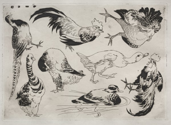 Dinner Service (Rousseau service): Roosters, ducks, etc. (no. 13), 1866. Félix Bracquemond (French,