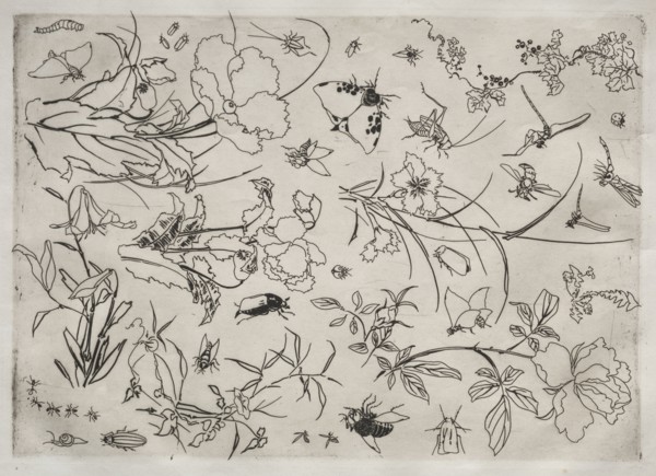 Dinner Service (Rousseau service): Flowers and Insects (no. 15), 1866. Félix Bracquemond (French,