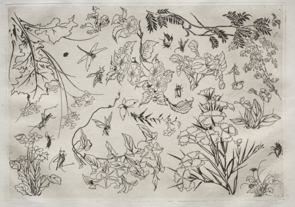 Dinner Service (Rousseau service): Flowers (no. 22), 1866. Félix Bracquemond (French, 1833-1914).