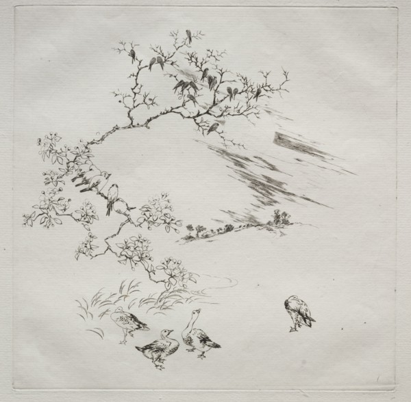 Parisian Service (Haviland service): Night (no. 7), 1875. Félix Bracquemond (French, 1833-1914).