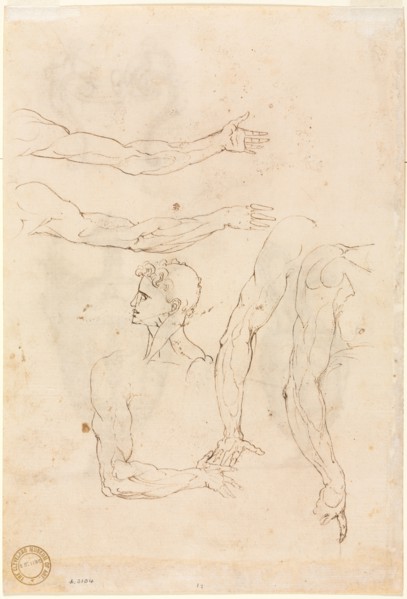 Sketches of Five Arms and a Head (verso), mid 1500s. Luzio Romano (Italian, active 1528-75). Pen