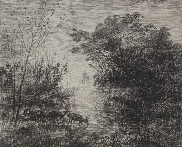 Stags, original impression 1862, printed in 1921. Charles François Daubigny (French, 1817-1878).