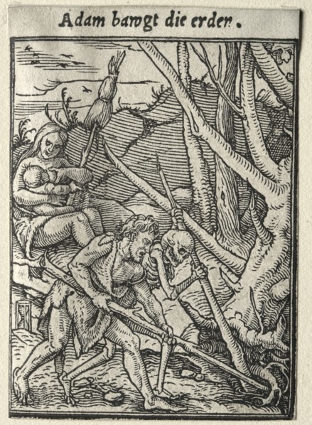 Dance of Death:  Adam Tilling the Ground. Hans Holbein (German, 1497/98-1543). Woodcut