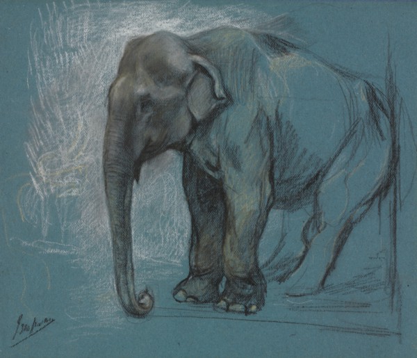 Study of an Elephant. John Macallan Swan (British, 1847-1910). Charcoal; sheet: 22.8 x 26.7 cm (9 x