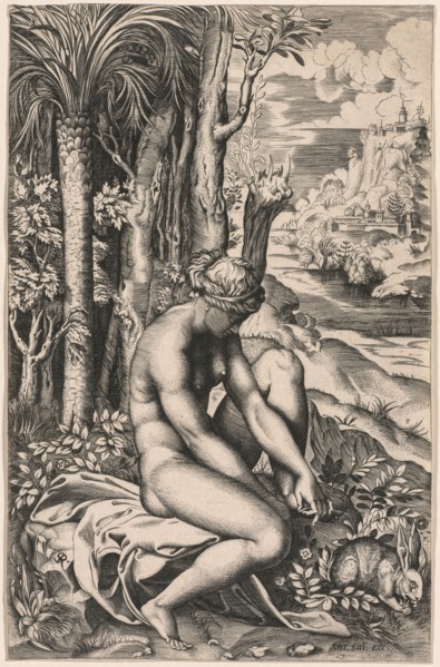 Venus Wounded by a Rose's Thorn, c. 1516. Marco Dente (Italian, c. 1486-1527), after Raphael