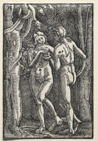 The Fall and Redemption of Man:  Adam and Eve Eating the Forbidden Fruit, c. 1515. Albrecht