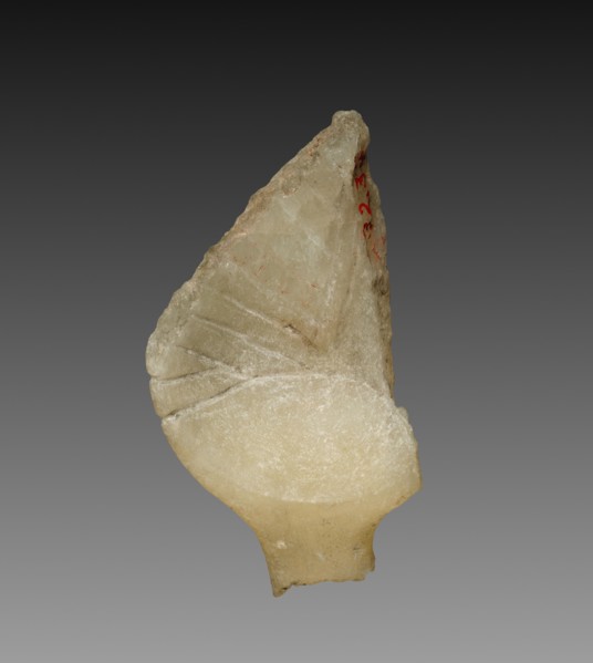 Fragment of a Cosmetic Dish, 1353-1337 BC. Egypt, El-Amarna, North Suburb, house T.34.1.