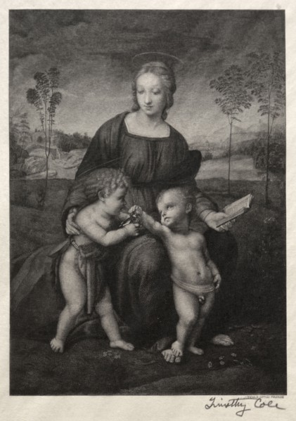Old Italian Masters:  The Madonna of the Goldfinch, 1888-1892. Timothy Cole (American, 1852-1931).