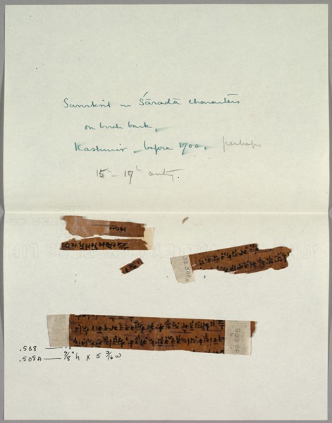 Two Fragments of Bark with Sanskrit, before 1700. India, Kashmir, 17th century. Ink on paper;