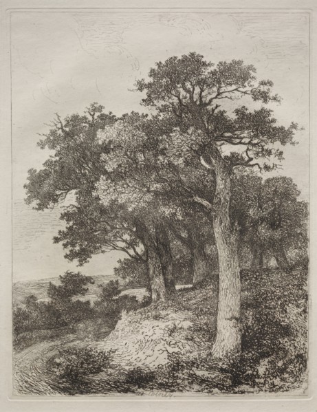At Colney. John Crome (British, 1768-1821). Etching
