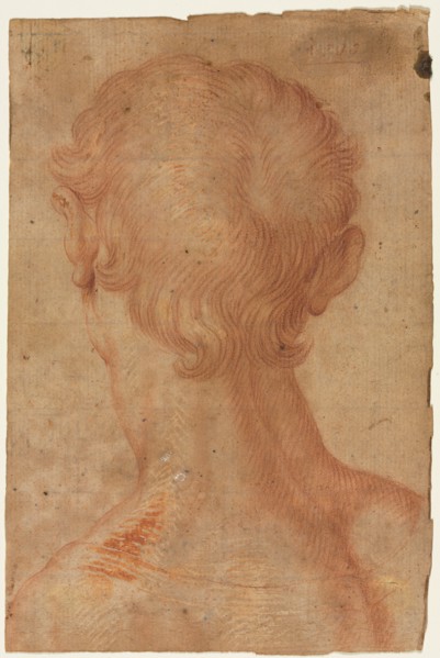 Man's Head from the Back, 16th century?. Copy after Agnolo Bronzino (Italian, 1503-1572). Red chalk