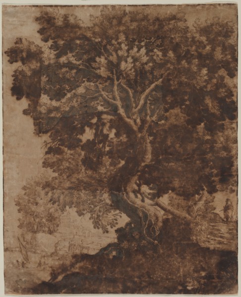 Tree in a Landscape, mid 17th century. Ercole Bazicaluva (Italian, c. 1610-1661). Pen and brown