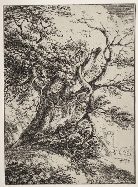 Specimens of Polyautography:  Landscape with an Oak Tree, 1803. Thomas Hearne (British, 1744-1817).
